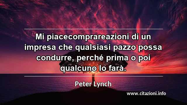 “Mi piacecomprareazioni di un impresa che qualsiasi pazzo possa condurre, perché prima o poi qualcuno lo farà.”