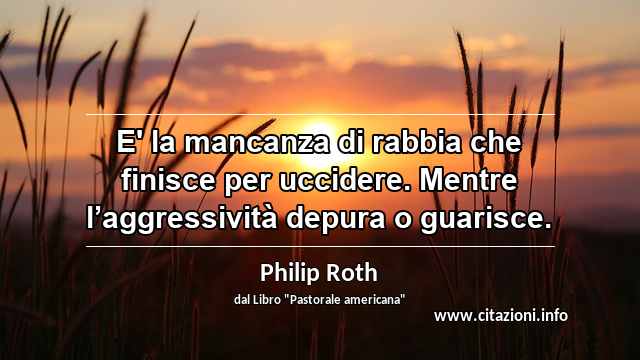 “E' la mancanza di rabbia che finisce per uccidere. Mentre l’aggressività depura o guarisce.”