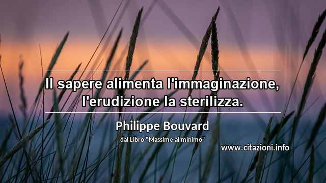“Il sapere alimenta l'immaginazione, l'erudizione la sterilizza.”