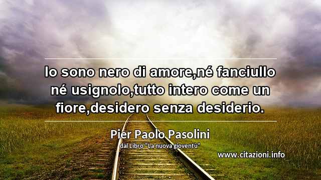 “Io sono nero di amore,né fanciullo né usignolo,tutto intero come un fiore,desidero senza desiderio.”