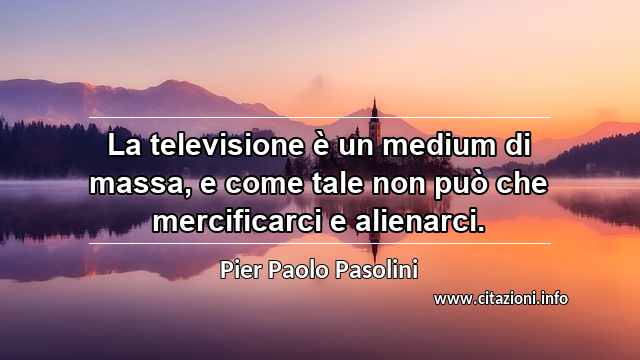 “La televisione è un medium di massa, e come tale non può che mercificarci e alienarci.”