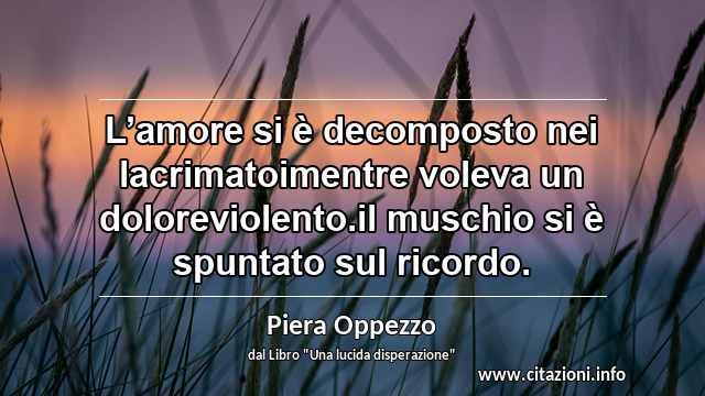 “L’amore si è decomposto nei lacrimatoimentre voleva un doloreviolento.il muschio si è spuntato sul ricordo.”