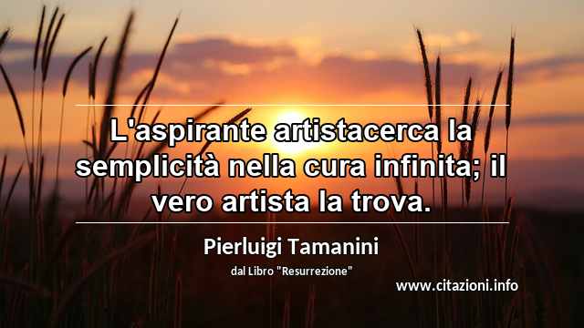 “L'aspirante artistacerca la semplicità nella cura infinita; il vero artista la trova.”