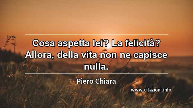 “Cosa aspetta lei? La felicità? Allora, della vita non ne capisce nulla.”
