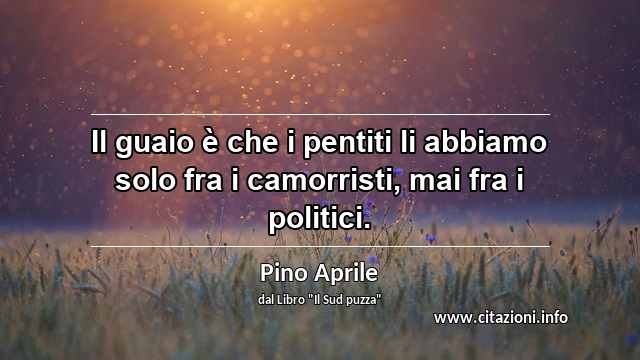 “Il guaio è che i pentiti li abbiamo solo fra i camorristi, mai fra i politici.”