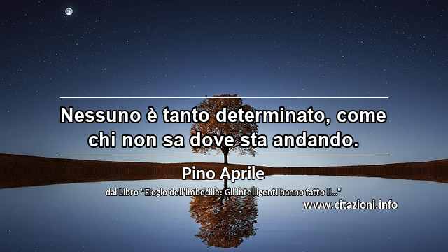 “Nessuno è tanto determinato, come chi non sa dove sta andando.”