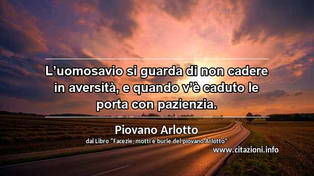 “L’uomosavio si guarda di non cadere in aversità, e quando v’è caduto le porta con pazienzia.”