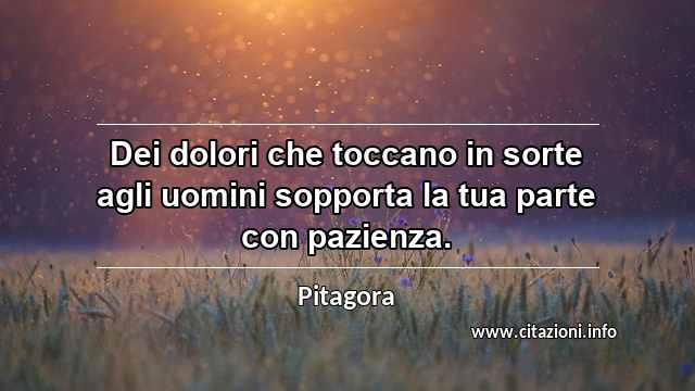 “Dei dolori che toccano in sorte agli uomini sopporta la tua parte con pazienza.”