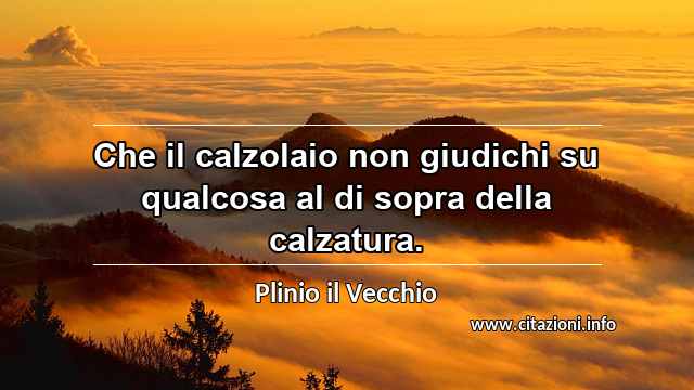 “Che il calzolaio non giudichi su qualcosa al di sopra della calzatura.”