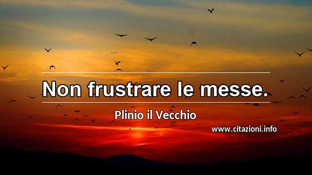 “Non frustrare le messe.”