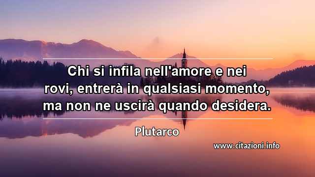 “Chi si infila nell'amore e nei rovi, entrerà in qualsiasi momento, ma non ne uscirà quando desidera.”