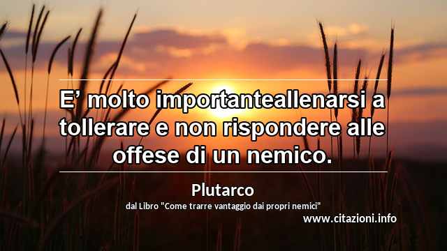 “E’ molto importanteallenarsi a tollerare e non rispondere alle offese di un nemico.”