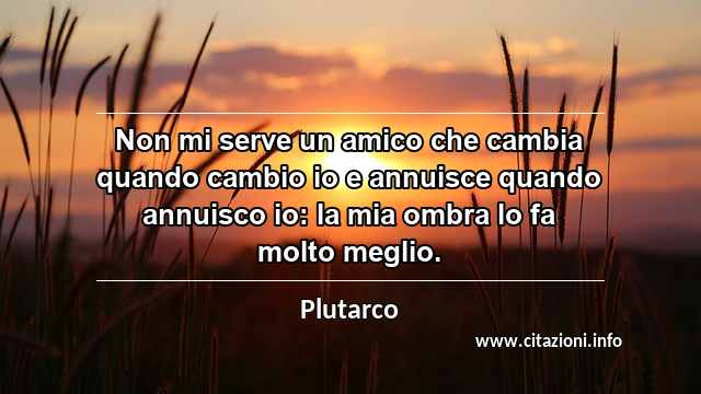 “Non mi serve un amico che cambia quando cambio io e annuisce quando annuisco io: la mia ombra lo fa molto meglio.”
