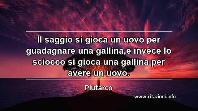 “Il saggio si gioca un uovo per guadagnare una gallina,e invece lo sciocco si gioca una gallina per avere un uovo.”