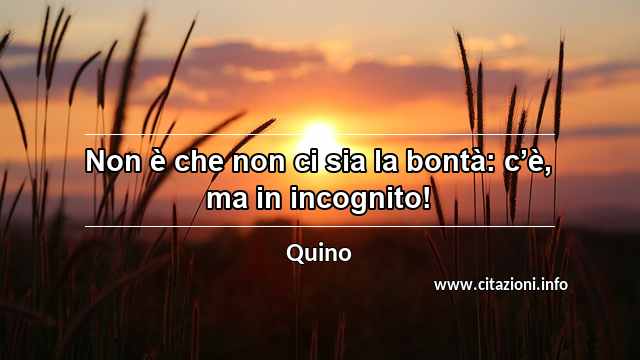 “Non è che non ci sia la bontà: c’è, ma in incognito!”