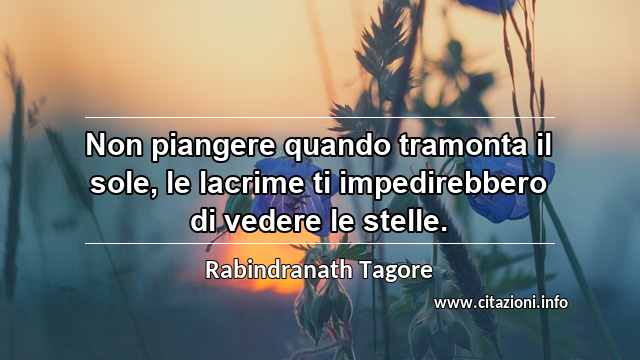 “Non piangere quando tramonta il sole, le lacrime ti impedirebbero di vedere le stelle.”