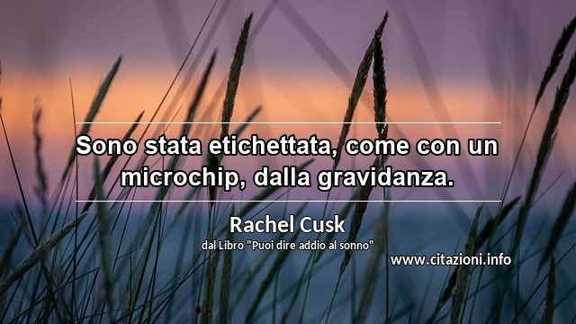 “Sono stata etichettata, come con un microchip, dalla gravidanza.”