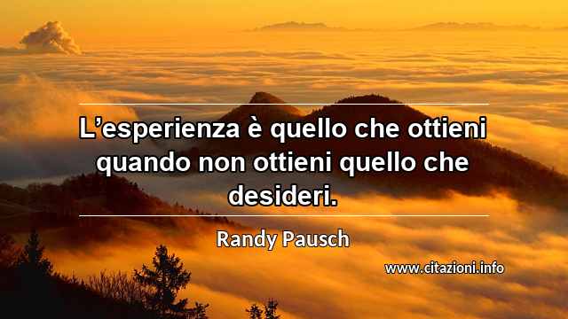 “L’esperienza è quello che ottieni quando non ottieni quello che desideri.”