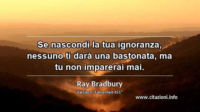 “Se nascondi la tua ignoranza, nessuno ti darà una bastonata, ma tu non imparerai mai.”