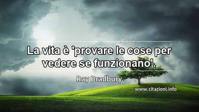 “La vita è 'provare le cose per vedere se funzionano'.”