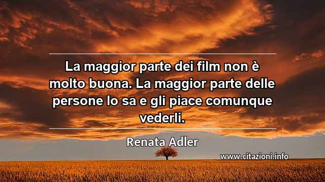 “La maggior parte dei film non è molto buona. La maggior parte delle persone lo sa e gli piace comunque vederli.”