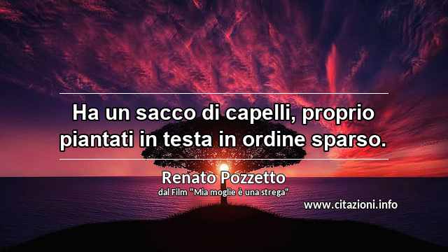 “Ha un sacco di capelli, proprio piantati in testa in ordine sparso.”