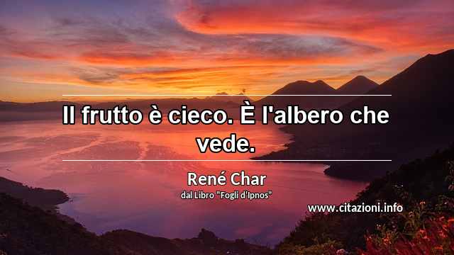 “Il frutto è cieco. È l'albero che vede.”