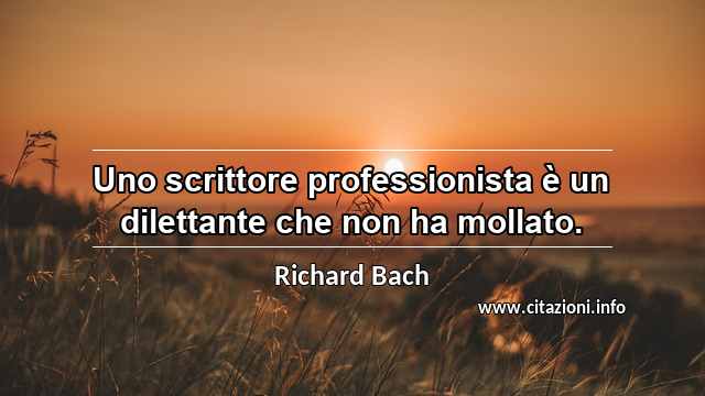 “Uno scrittore professionista è un dilettante che non ha mollato.”