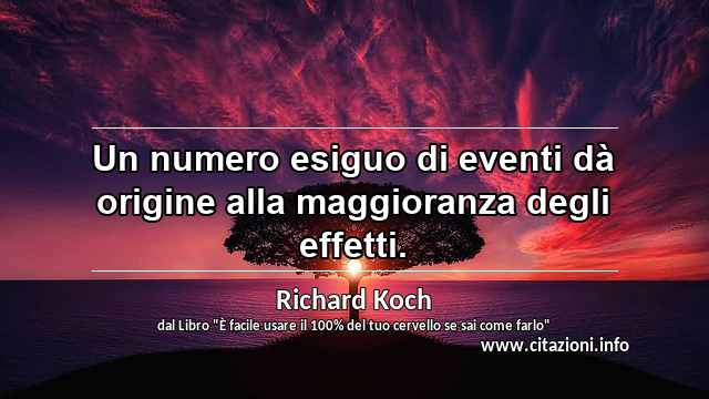“Un numero esiguo di eventi dà origine alla maggioranza degli effetti.”