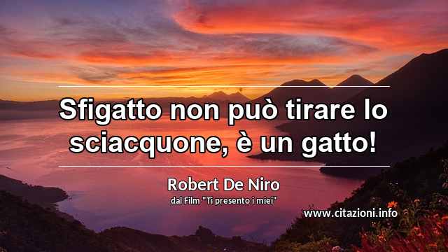 “Sfigatto non può tirare lo sciacquone, è un gatto!”