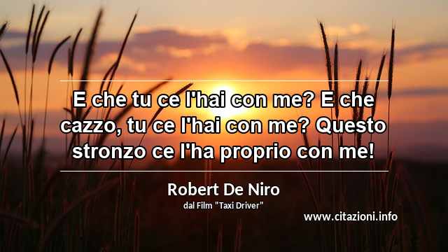 “E che tu ce l'hai con me? E che cazzo, tu ce l'hai con me? Questo stronzo ce l'ha proprio con me!”