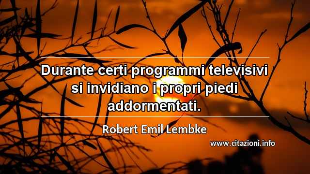 “Durante certi programmi televisivi si invidiano i propri piedi addormentati.”