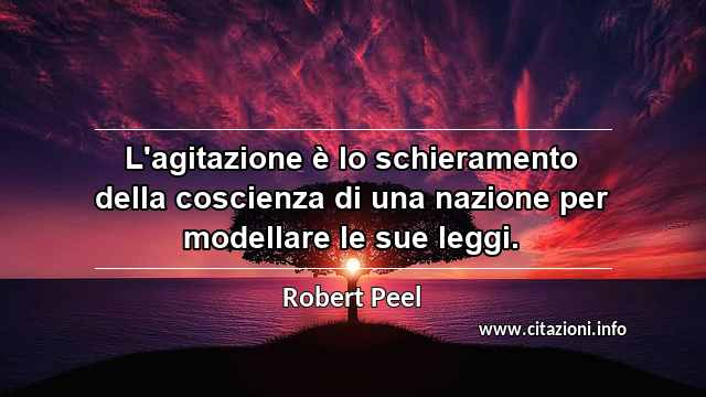 “L'agitazione è lo schieramento della coscienza di una nazione per modellare le sue leggi.”