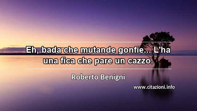 “Eh, bada che mutande gonfie... L'ha una fica che pare un cazzo.”