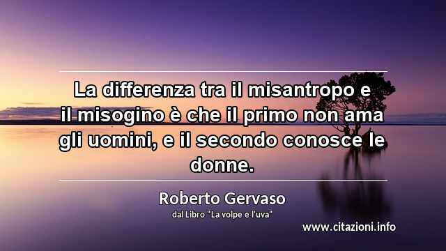 “La differenza tra il misantropo e il misogino è che il primo non ama gli uomini, e il secondo conosce le donne.”