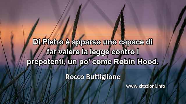 “Di Pietro è apparso uno capace di far valere la legge contro i prepotenti, un po' come Robin Hood.”