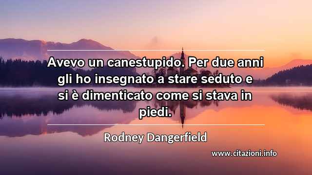 “Avevo un canestupido. Per due anni gli ho insegnato a stare seduto e si è dimenticato come si stava in piedi.”