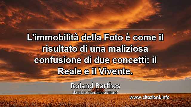 “L'immobilità della Foto è come il risultato di una maliziosa confusione di due concetti: il Reale e il Vivente.”