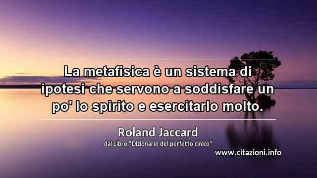 “La metafisica è un sistema di ipotesi che servono a soddisfare un po' lo spirito e esercitarlo molto.”