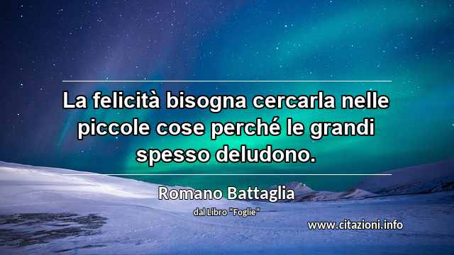 “La felicità bisogna cercarla nelle piccole cose perché le grandi spesso deludono.”