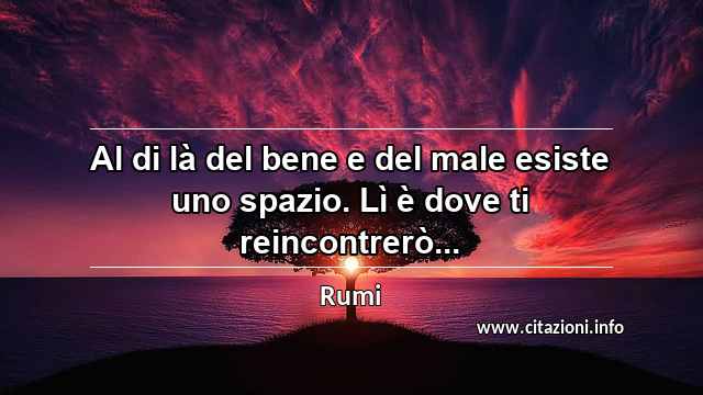 “Al di là del bene e del male esiste uno spazio. Lì è dove ti reincontrerò...”