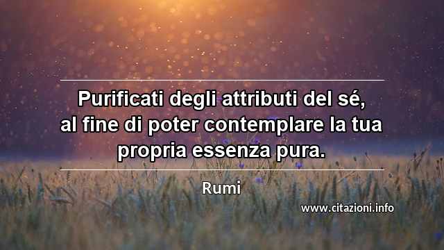 “Purificati degli attributi del sé, al fine di poter contemplare la tua propria essenza pura.”