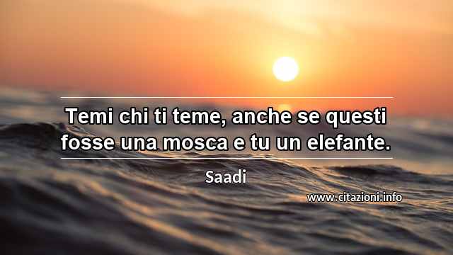 “Temi chi ti teme, anche se questi fosse una mosca e tu un elefante.”
