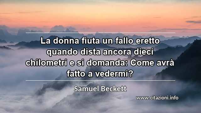 “La donna fiuta un fallo eretto quando dista ancora dieci chilometri e si domanda: Come avrà fatto a vedermi?”