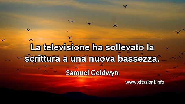 “La televisione ha sollevato la scrittura a una nuova bassezza.”