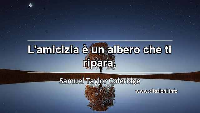 “L'amicizia è un albero che ti ripara.”