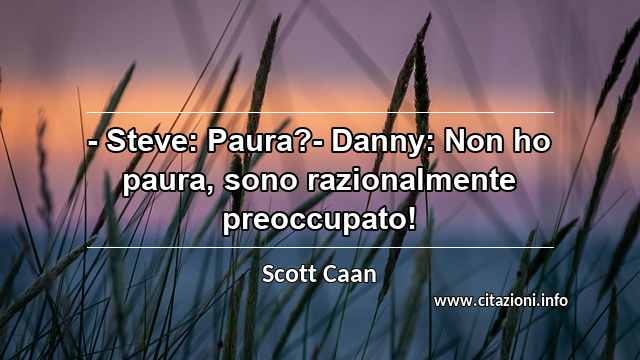 “- Steve: Paura?- Danny: Non ho paura, sono razionalmente preoccupato!”