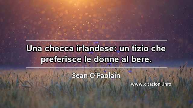 “Una checca irlandese: un tizio che preferisce le donne al bere.”