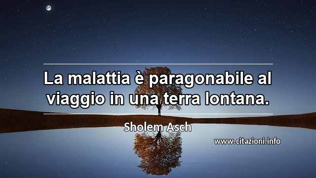 “La malattia è paragonabile al viaggio in una terra lontana.”