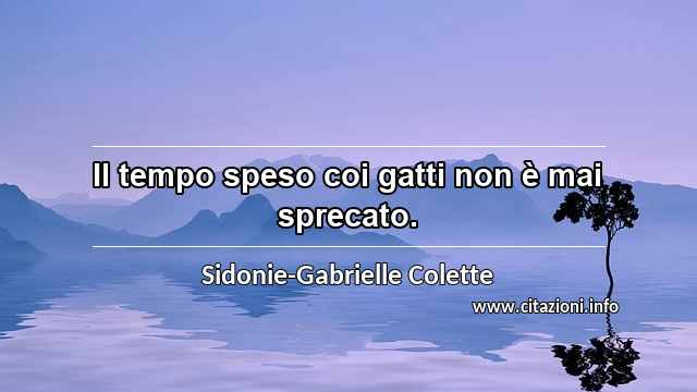 “Il tempo speso coi gatti non è mai sprecato.”